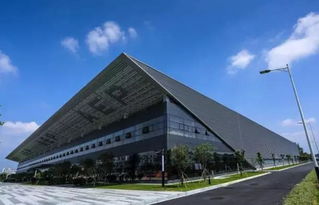 嶺南荔枝熟，最甜在花都——技術服務賦能荔枝產業(yè)發(fā)展